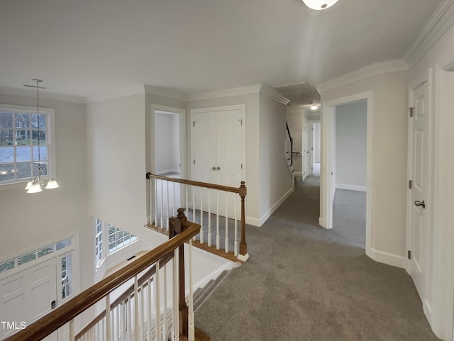 hallway with a chandelier, carpet flooring, a wealth of natural light, and ornamental molding