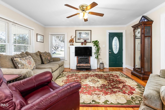 living room with ceiling fan, light hardwood / wood-style floors, and ornamental molding