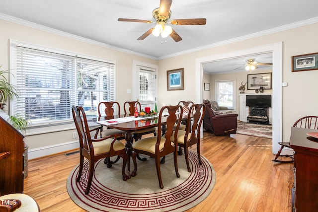 dining space with light hardwood / wood-style floors, ceiling fan, and ornamental molding