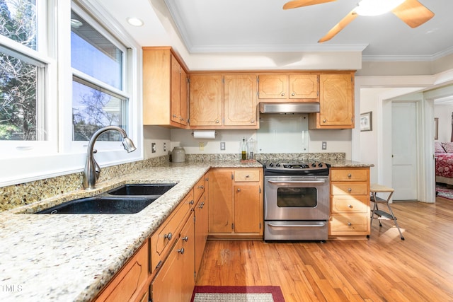 kitchen featuring stainless steel electric range, sink, light stone countertops, light wood-type flooring, and ornamental molding