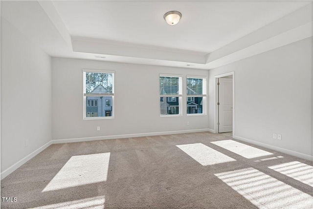 carpeted spare room featuring plenty of natural light and a tray ceiling