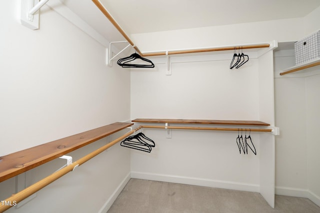 spacious closet featuring light colored carpet