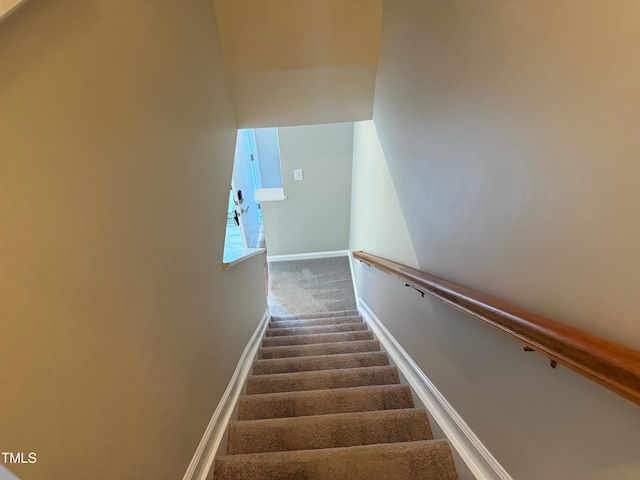 staircase featuring carpet flooring