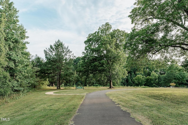 view of home's community with a lawn