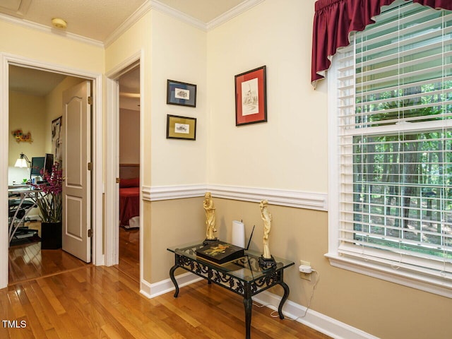 45 Softwood Dr, Franklinton, NC 27525 - photo 19