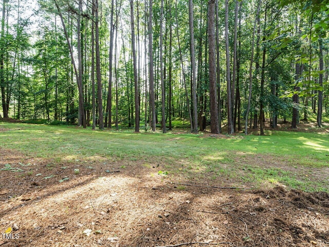45 Softwood Dr, Franklinton, NC 27525 - photo 32