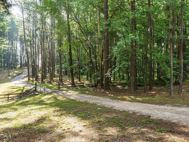 45 Softwood Dr, Franklinton, NC 27525 - photo 35