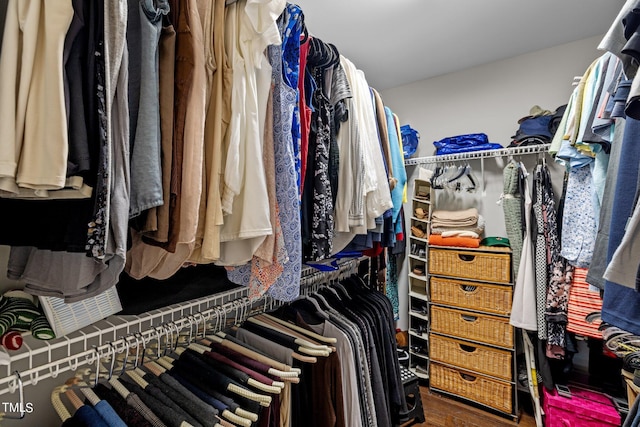 view of walk in closet