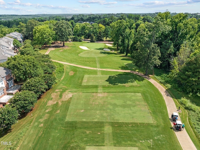 bird's eye view