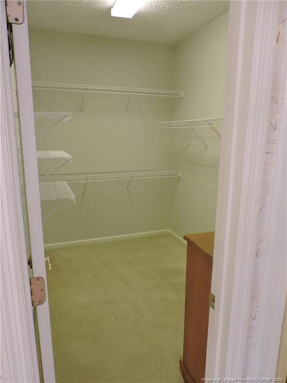 walk in closet featuring carpet floors