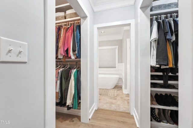 walk in closet with light wood-type flooring