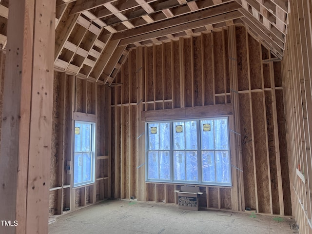 miscellaneous room featuring lofted ceiling