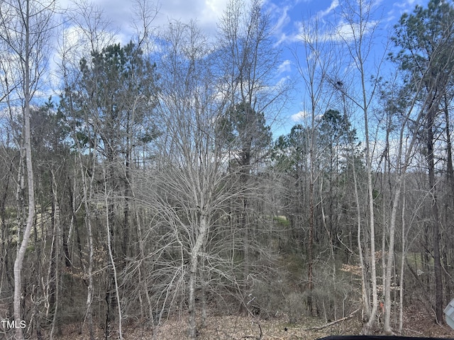 274 Westhampton Dr, Pittsboro, NC 27312 - view of local wilderness