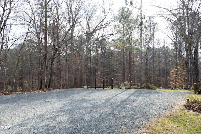 540 Patterson Dr, Chapel Hill, NC 27516 - view of yard featuring a wooded view