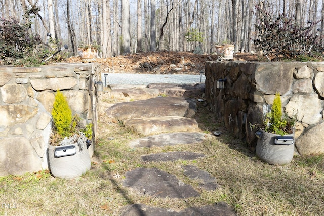 540 Patterson Dr, Chapel Hill, NC 27516 - view of yard