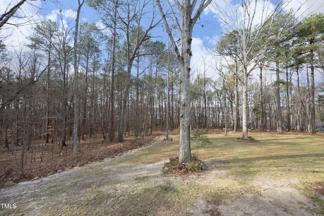 540 Patterson Dr, Chapel Hill, NC 27516 - view of yard featuring a view of trees