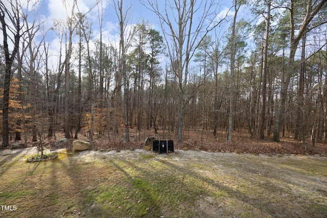 540 Patterson Dr, Chapel Hill, NC 27516 - view of yard