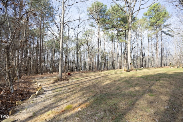 540 Patterson Dr, Chapel Hill, NC 27516 - view of yard featuring a wooded view