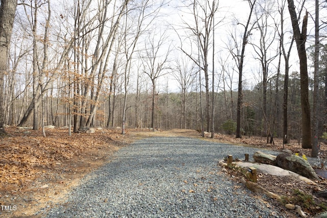 540 Patterson Dr, Chapel Hill, NC 27516 - view of street featuring a forest view