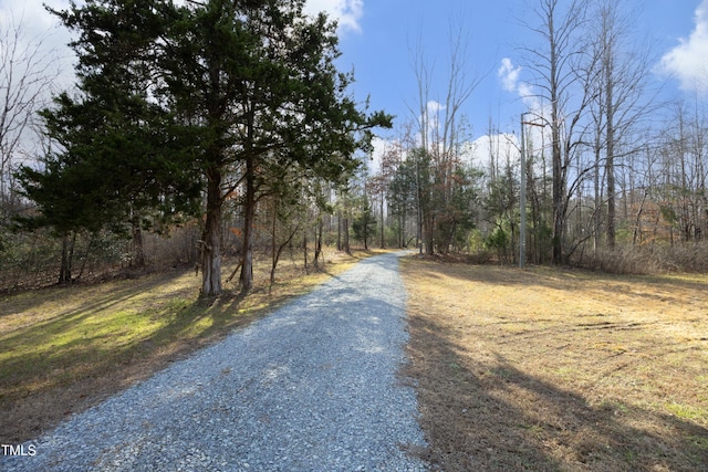 540 Patterson Dr, Chapel Hill, NC 27516 - view of street featuring a forest view