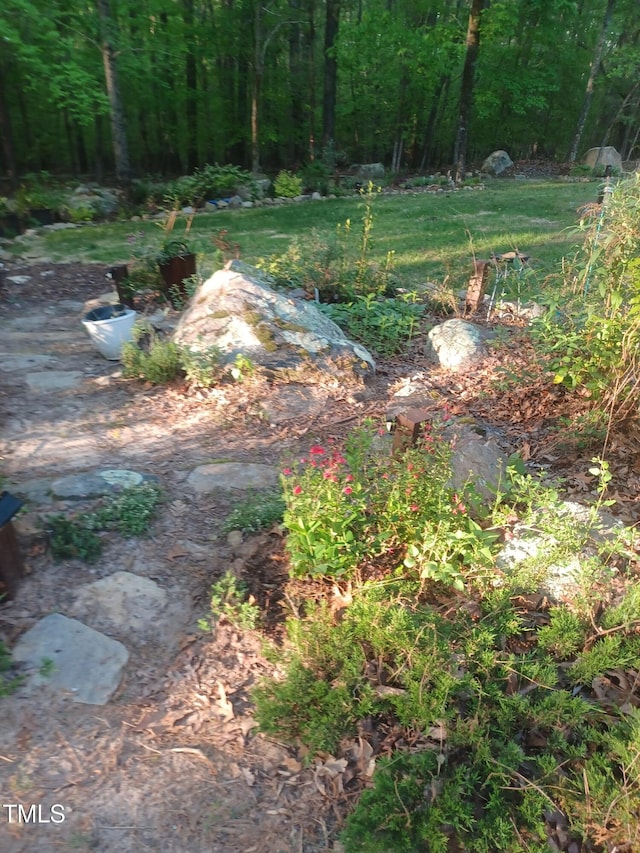 540 Patterson Dr, Chapel Hill, NC 27516 - view of yard