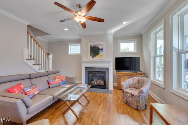 living room with ceiling fan, ornamental molding, and light hardwood / wood-style flooring