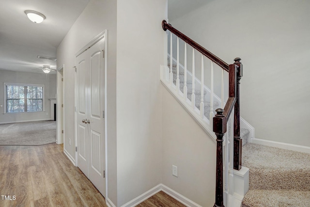 stairs with hardwood / wood-style flooring