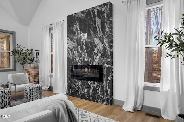 interior space featuring a premium fireplace, lofted ceiling, and wood-type flooring