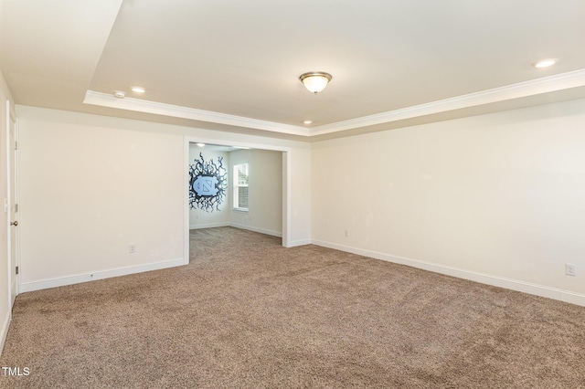 spare room with carpet, a raised ceiling, and ornamental molding