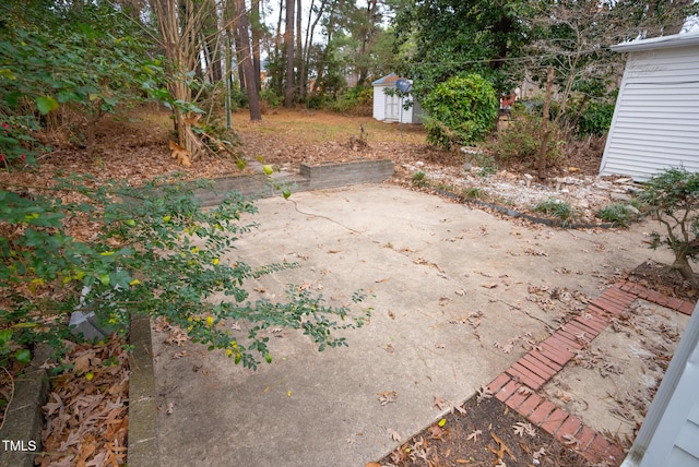 view of yard featuring a shed and a patio