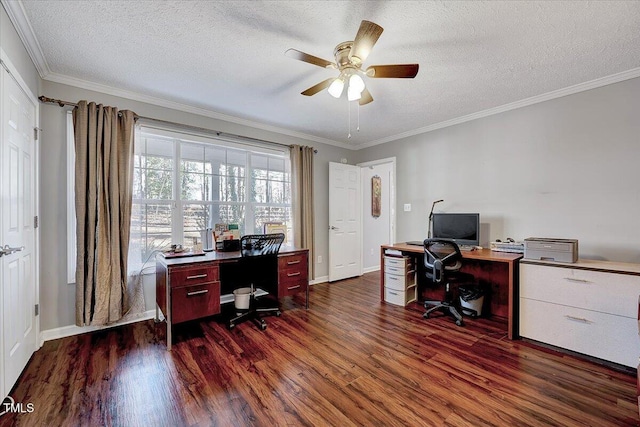 office space with crown molding, a textured ceiling, and dark hardwood / wood-style flooring