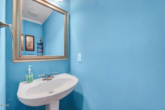 bathroom featuring sink, ornamental molding, and a textured ceiling