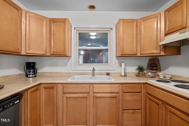 kitchen featuring sink, white electric stovetop, and dishwasher