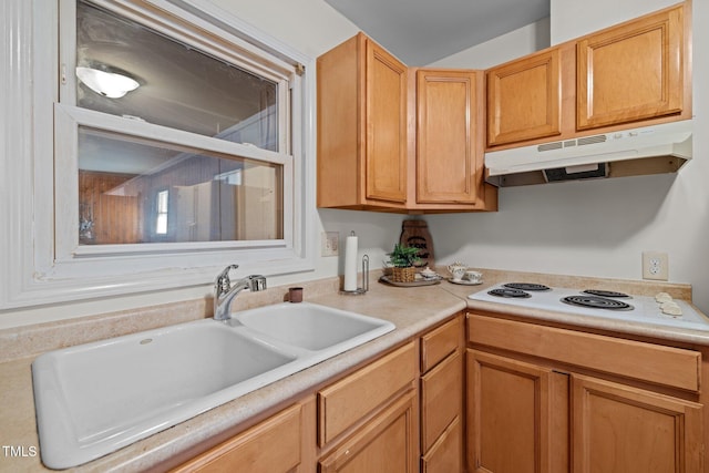 kitchen featuring sink and white electric stovetop