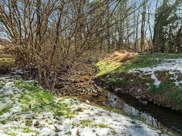 view of local wilderness