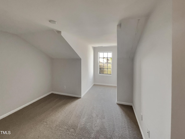 bonus room with carpet flooring