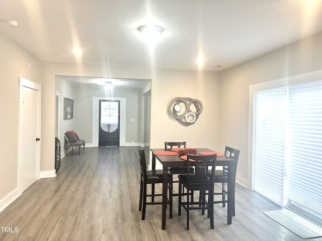 dining room with hardwood / wood-style floors