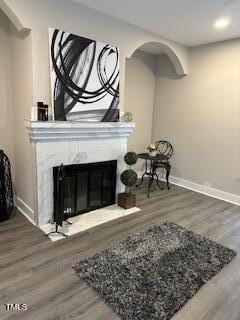 interior space featuring a premium fireplace, baseboards, arched walkways, and wood finished floors