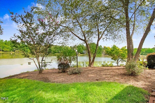 view of water feature