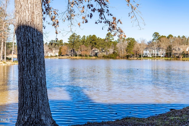 property view of water