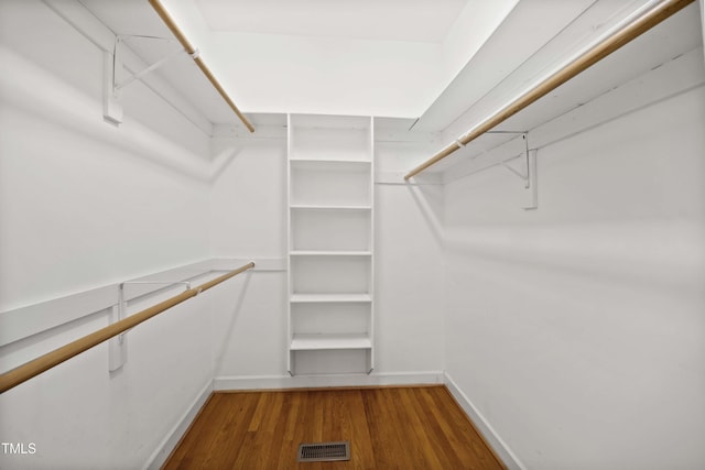 spacious closet featuring wood-type flooring