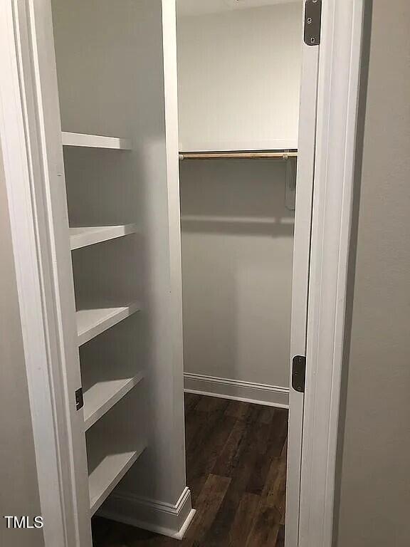 spacious closet featuring dark hardwood / wood-style floors