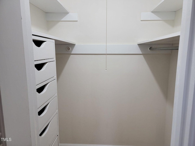 view of spacious closet