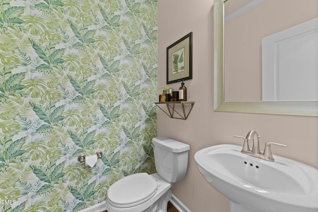 bathroom with sink, ornamental molding, and toilet