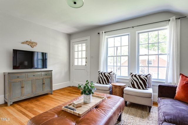 living room with light hardwood / wood-style floors