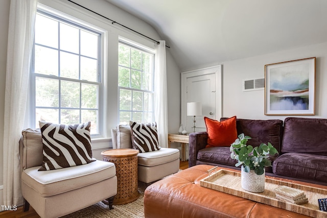 living room featuring vaulted ceiling