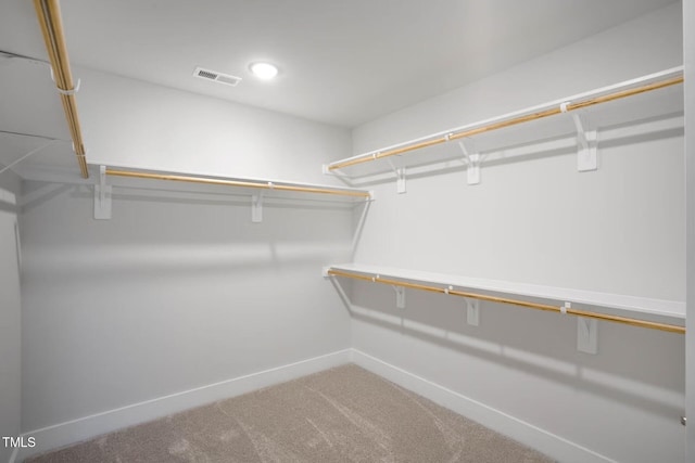 walk in closet featuring carpet floors