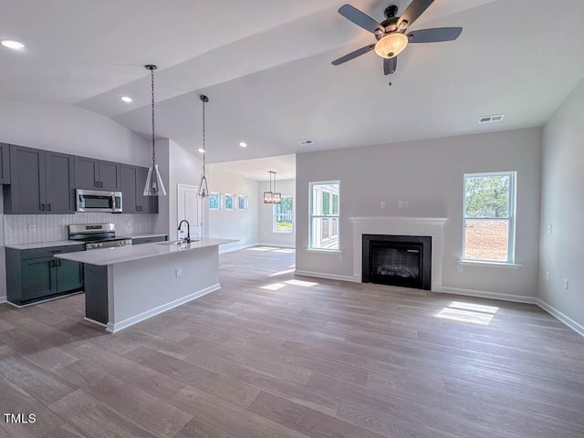 kitchen with tasteful backsplash, light hardwood / wood-style flooring, an island with sink, and stainless steel appliances