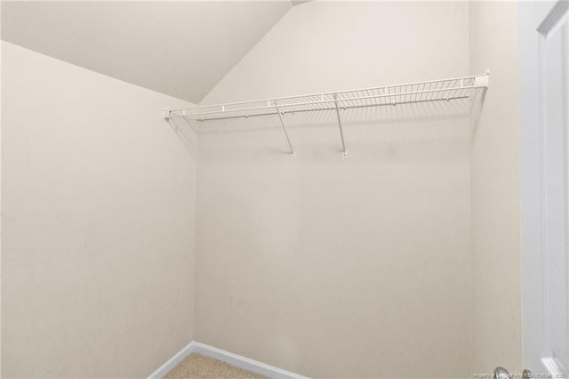 walk in closet featuring carpet flooring and vaulted ceiling