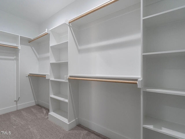 spacious closet with carpet flooring